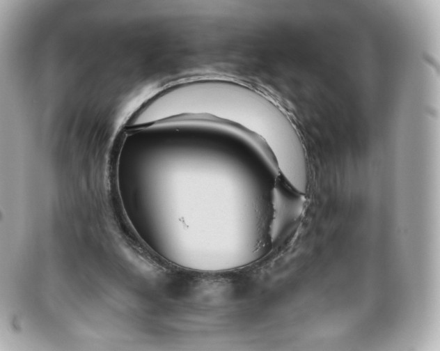 X0000095880248200802011050