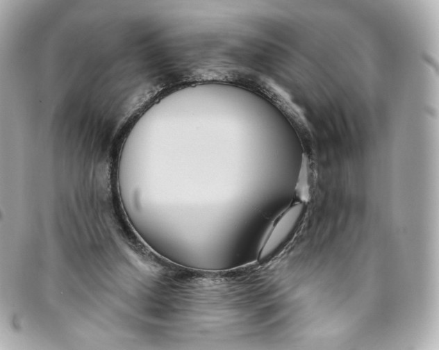 X0000095880250200802011050