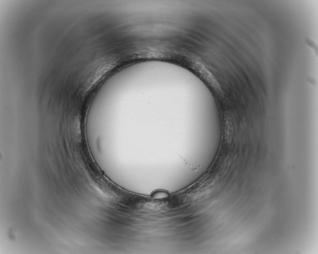 X0000095880251200802011050