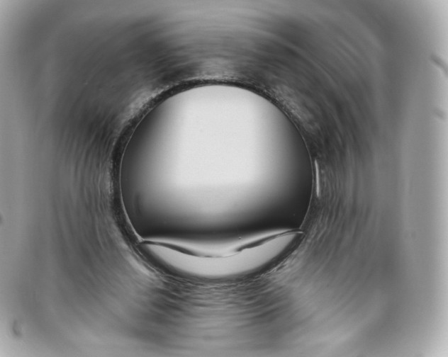 X0000095880252200802011050