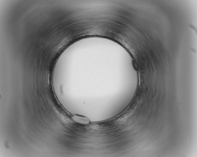 X0000095880253200802011050