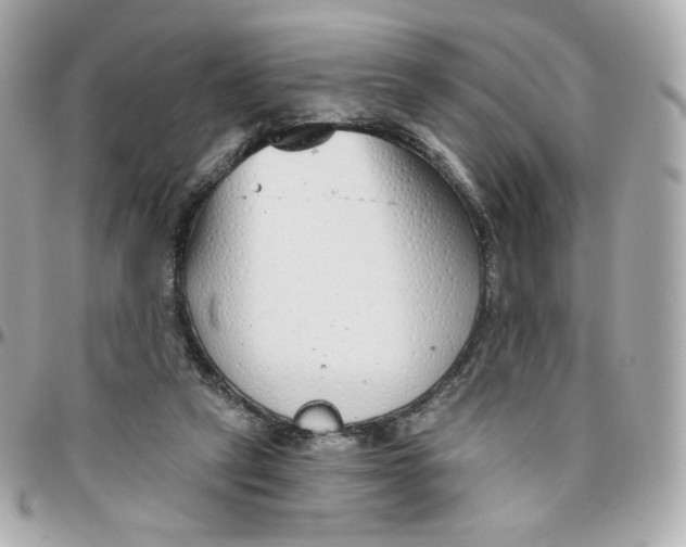 X0000095880257200802011050