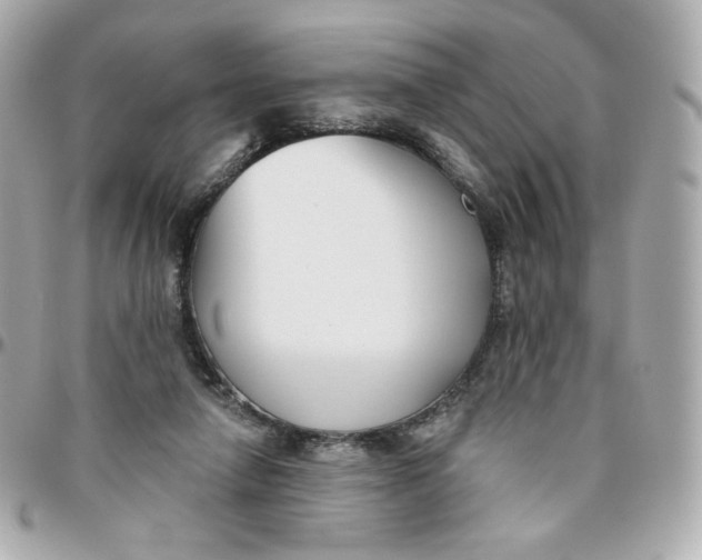 X0000095880258200802011050