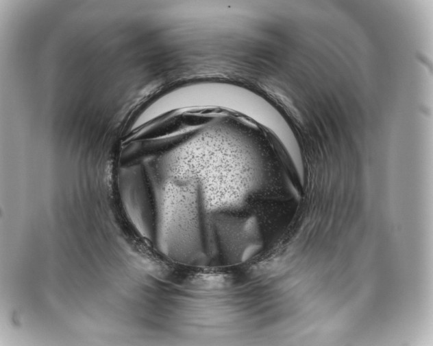 X0000095880260200802011050