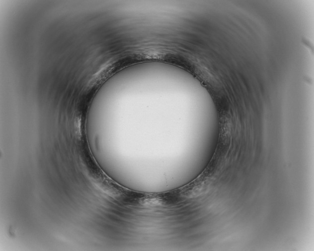 X0000095880262200802011050