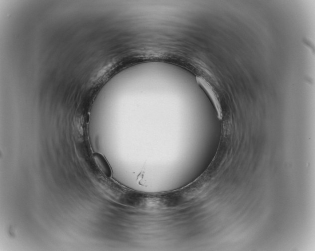 X0000095880264200802011050