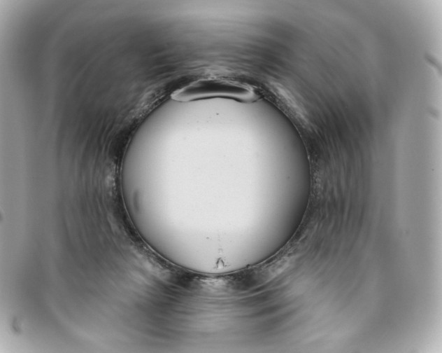 X0000095880265200802011051