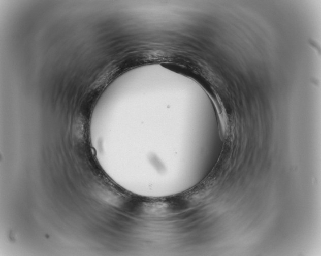 X0000095880266200802011051