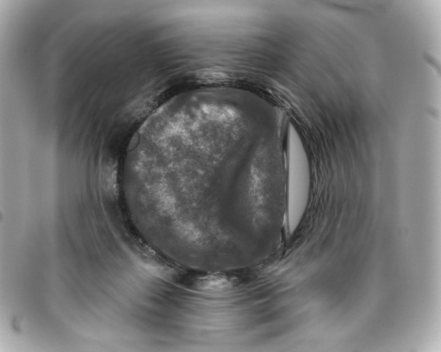 X0000095880267200802011051