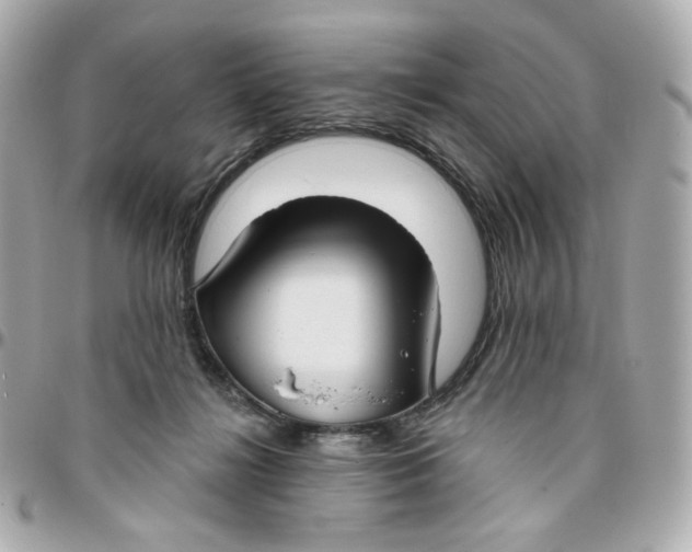 X0000095880268200802011051