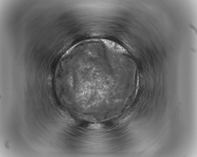 X0000095880269200802011051