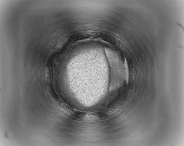 X0000095880270200802011051