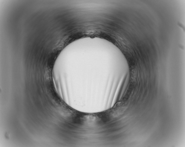 X0000095880272200802011051