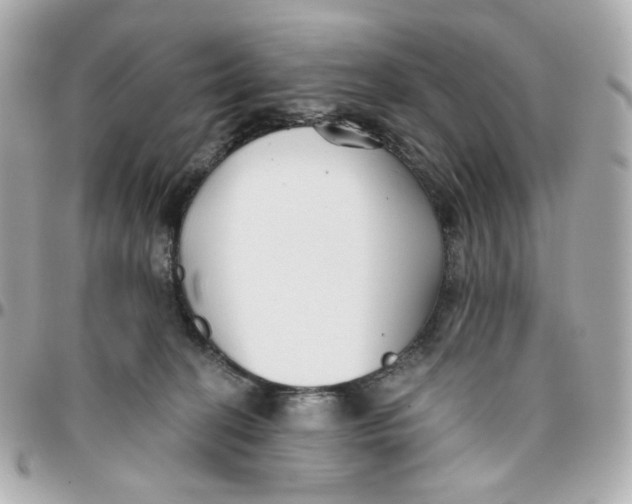 X0000095880274200802011051