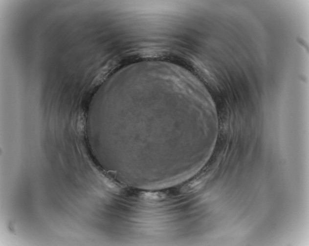 X0000095880277200802011051