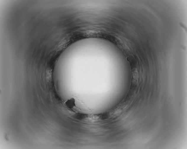 X0000095880278200802011051