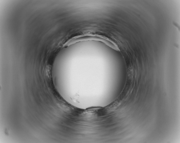 X0000095880280200802011051