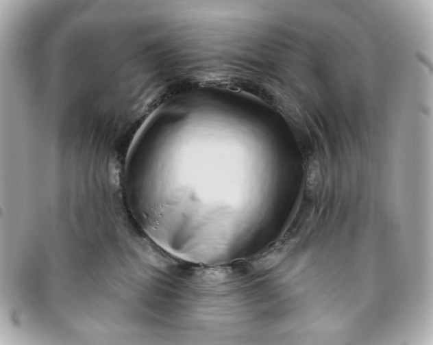 X0000095880282200802011051