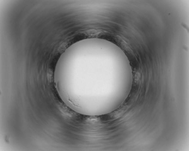 X0000095880283200802011051