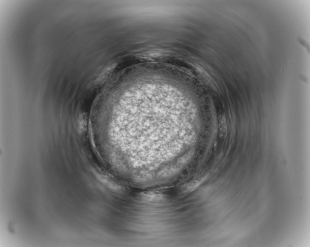 X0000095880284200802011051