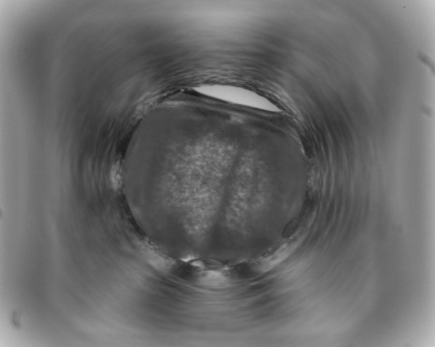 X0000095880285200802011051