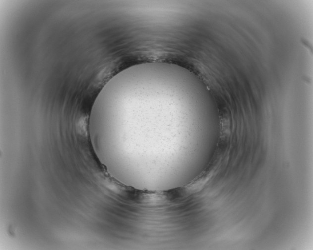 X0000095880286200802011051