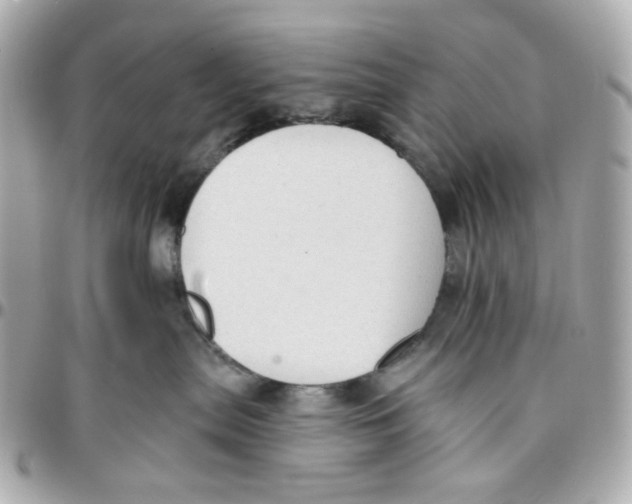 X0000095880287200802011051