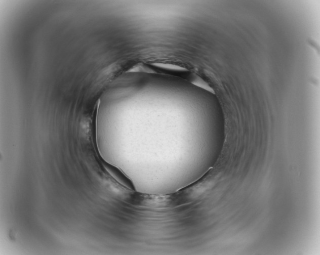 X0000095880288200802011051