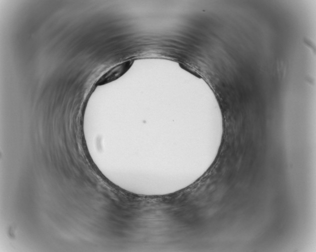 X0000095880289200802011050