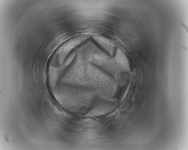 X0000095880290200802011050