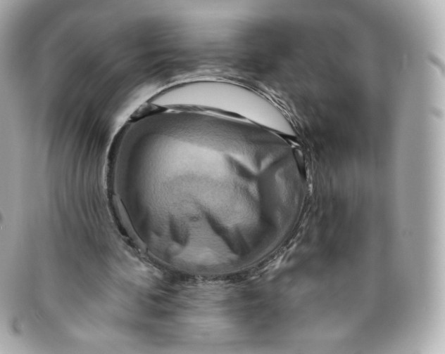 X0000095880292200802011050