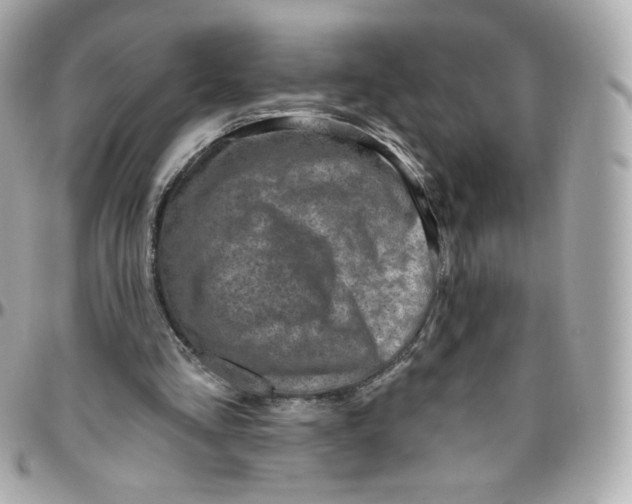 X0000095880293200802011050