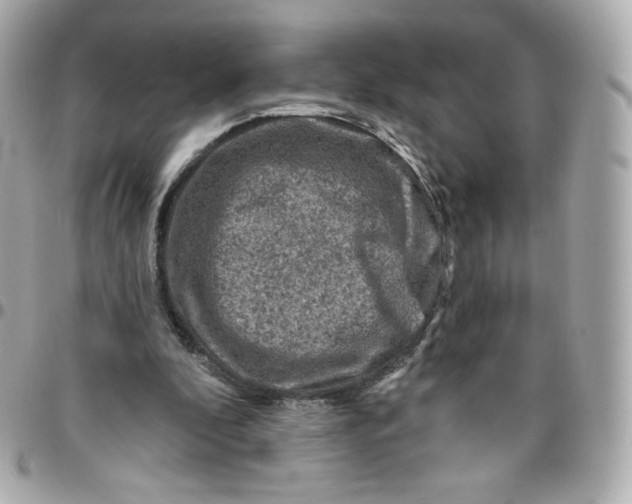 X0000095880296200802011050