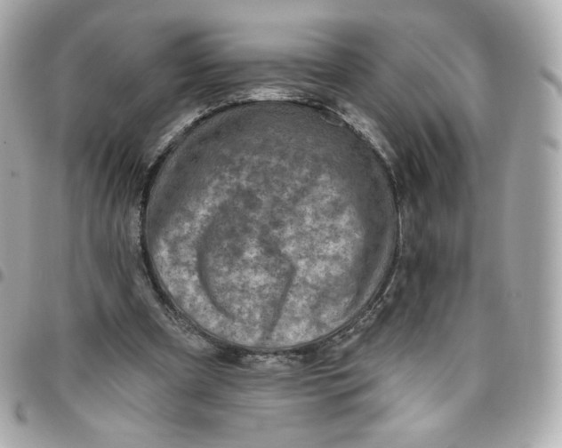 X0000095880297200802011050