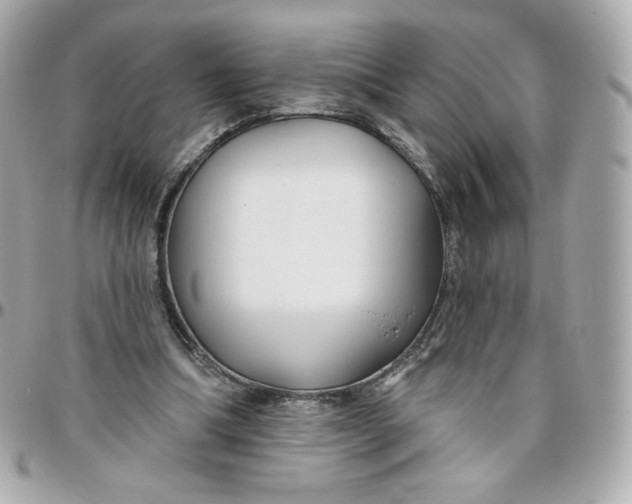 X0000095880298200802011050