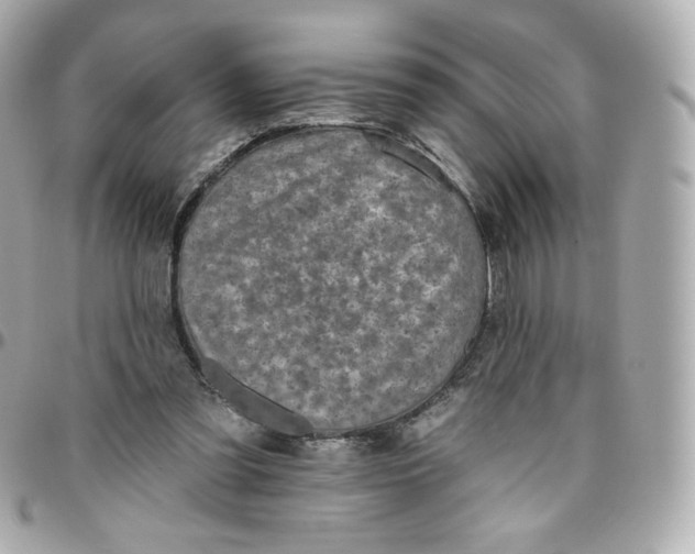 X0000095880301200802011050