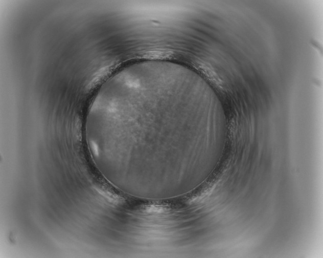 X0000095880303200802011050