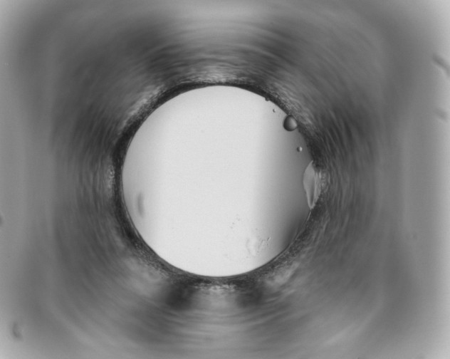 X0000095880304200802011050