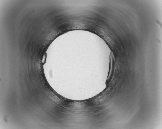 X0000095880305200802011050