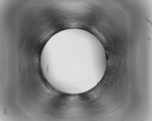 X0000095880306200802011050