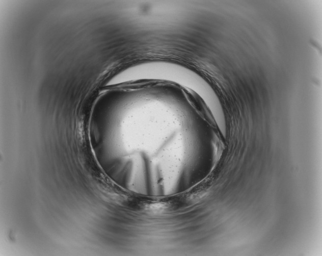 X0000095880312200802011050