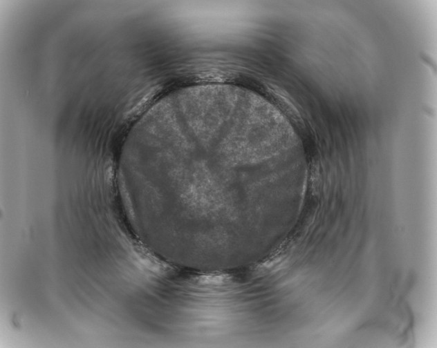 X0000095880314200802011050