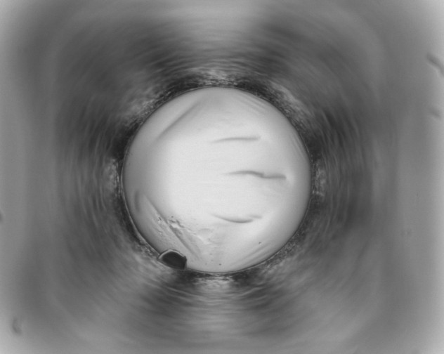 X0000095880318200802011050