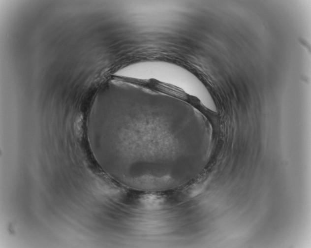 X0000095880319200802011050