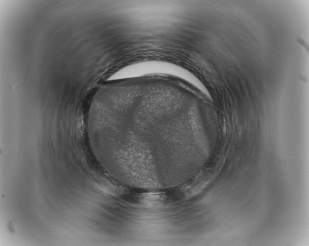 X0000095880320200802011050