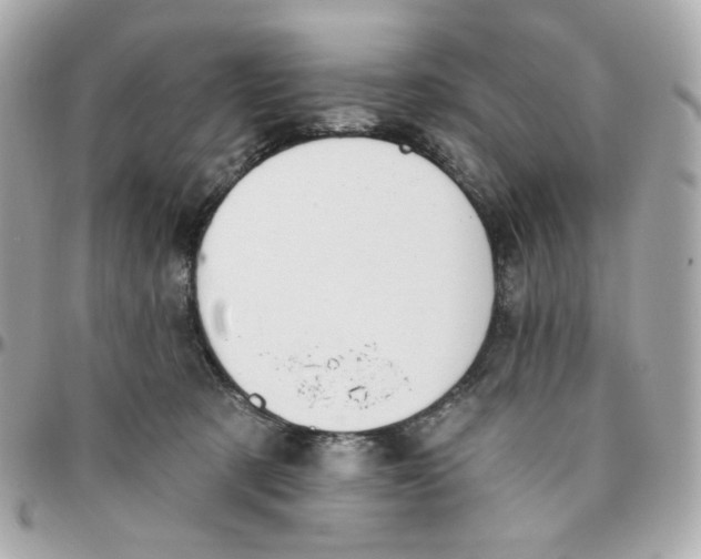 X0000095880321200802011050