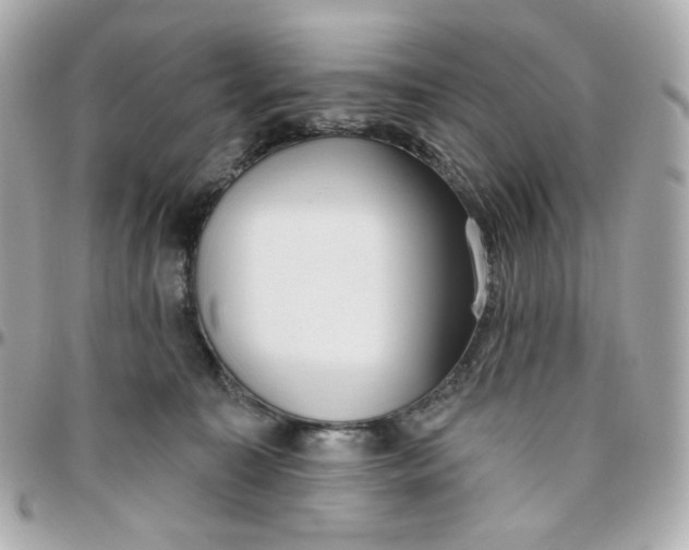 X0000095880323200802011050