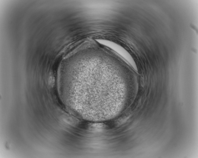 X0000095880324200802011050