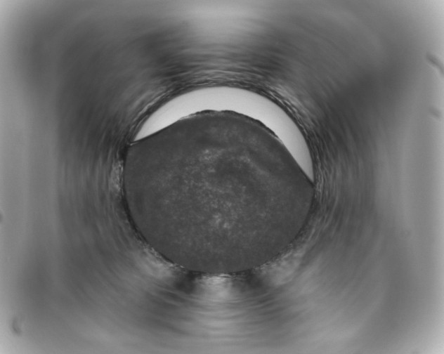 X0000095880325200802011049