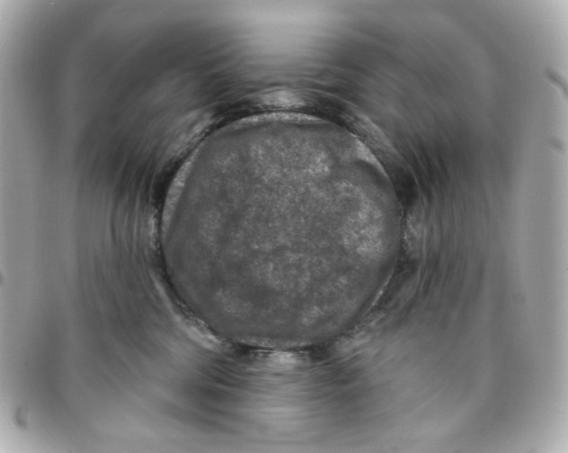 X0000095880330200802011049